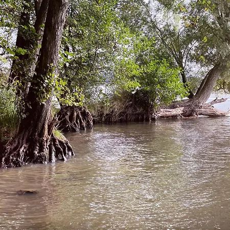 3 Bedroom Gorgeous In Morzyczyn (West Pomeranian)