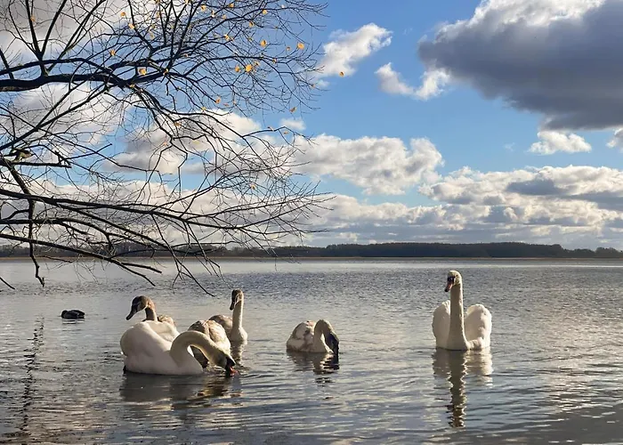 3 Bedroom Gorgeous In 別荘 *