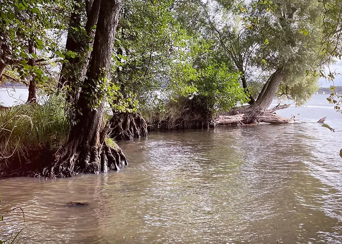 3 Bedroom Gorgeous In モジチン